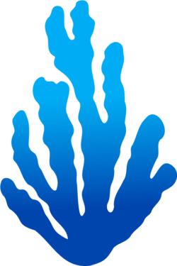 Dentist in Park Ridge