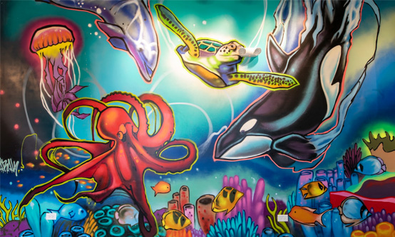 Dentist in Park Ridge